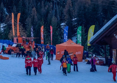 Alpine experience - Ski