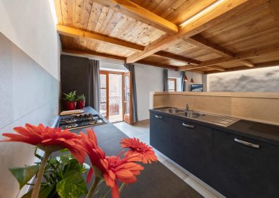 Case-vacanza - Alp Apartments - Aosta